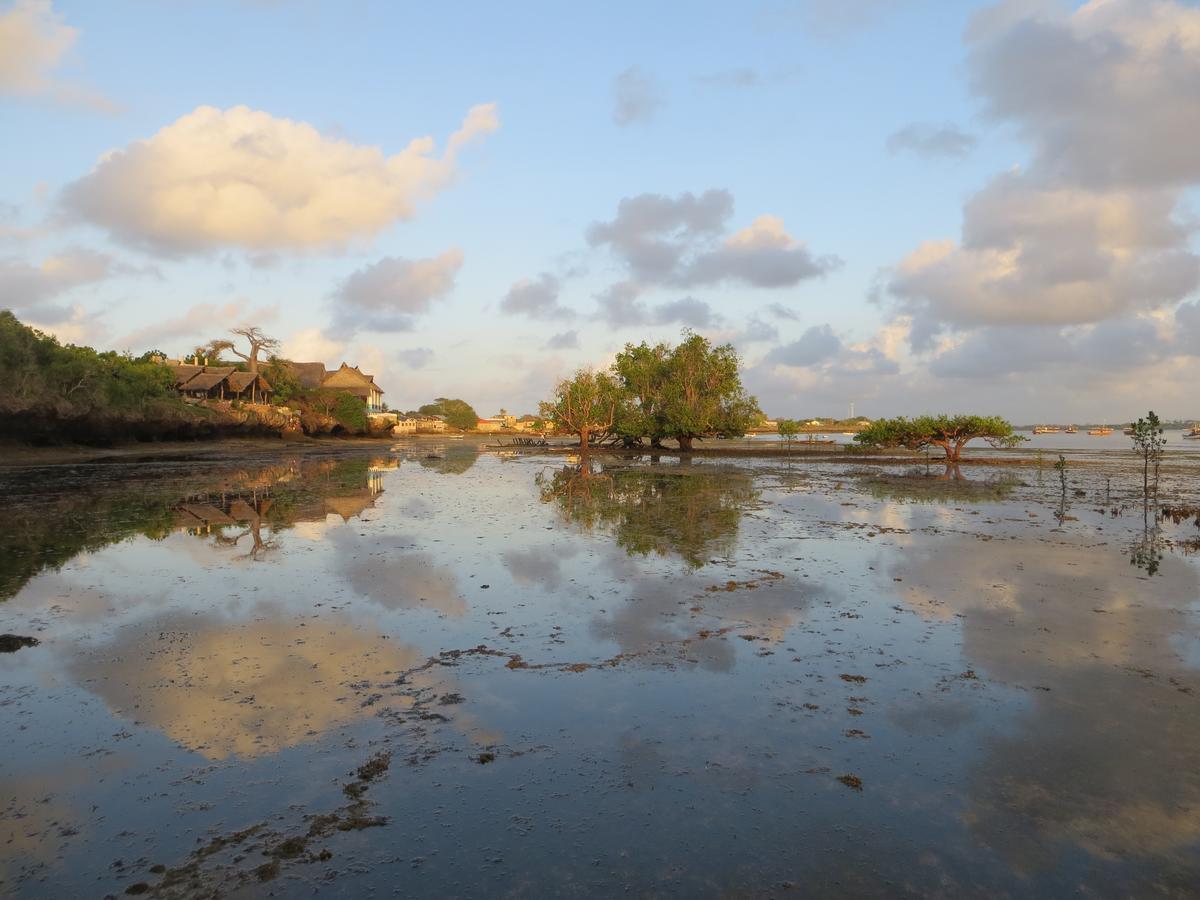 Wasini Island Bandas Esterno foto