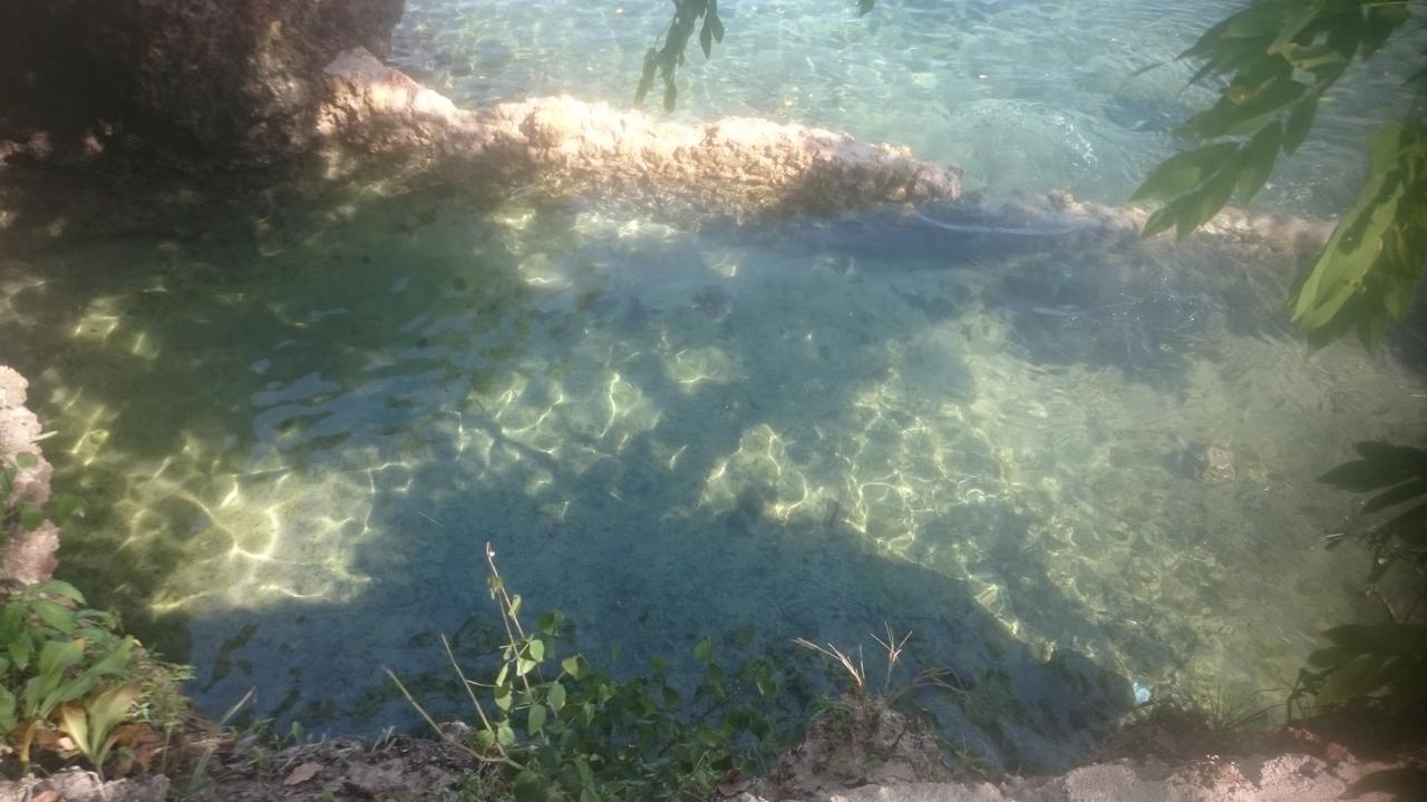 Wasini Island Bandas Esterno foto